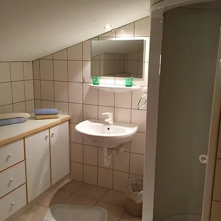 Alpenhaus Birkhahn Penzion *